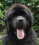 Превью фото № 105813