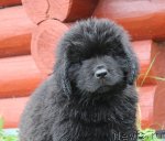 Превью фото № 105959