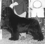 Превью фото № 106