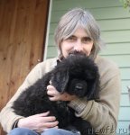 Превью фото № 106108