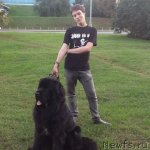 Превью фото № 106204