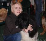 Превью фото № 10633