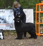 Превью фото № 106387