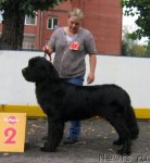 Превью фото № 106470