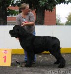 Превью фото № 106472