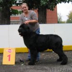 Превью фото № 106473