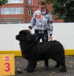 Превью фото № 106476