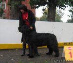 Превью фото № 106478