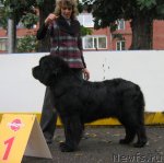 Превью фото № 106481