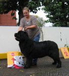 Превью фото № 106482