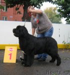 Превью фото № 106483