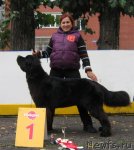 Превью фото № 106487