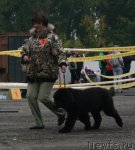 Превью фото № 106521