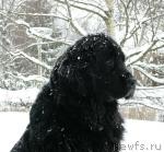 Превью фото № 10669