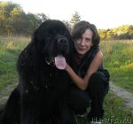 Превью фото № 107114