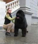 Превью фото № 10740