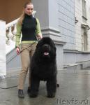 Превью фото № 10741