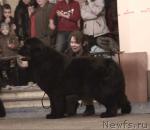 Превью фото № 10763