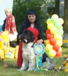 Превью фото № 107705