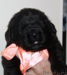 Превью фото № 107749