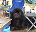 Превью фото № 107781