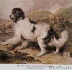 Превью фото № 10801