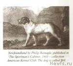 Превью фото № 10807