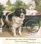 Превью фото № 10812