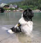 Превью фото № 1083