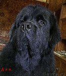 Превью фото № 108322