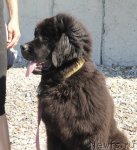 Превью фото № 108390