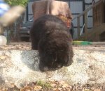 Превью фото № 108564