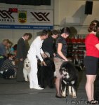 Превью фото № 108709