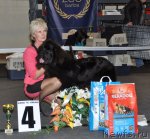 Превью фото № 108804