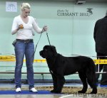 Превью фото № 108830