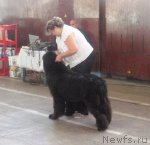 Превью фото № 108960