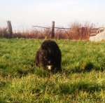 Превью фото № 108963