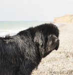 Превью фото № 109008