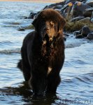 Превью фото № 109306