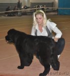 Превью фото № 109460