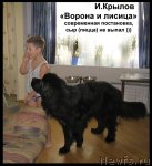 Превью фото № 109605