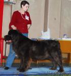 Превью фото № 10964