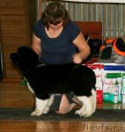 Превью фото № 109721