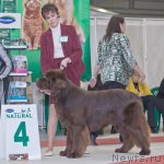 Превью фото № 110213