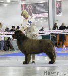 Превью фото № 110233