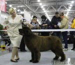 Превью фото № 110236