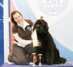 Превью фото № 110241