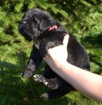 Превью фото № 110509