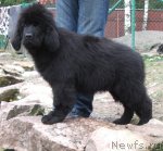 Превью фото № 110611