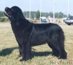 Превью фото № 11088